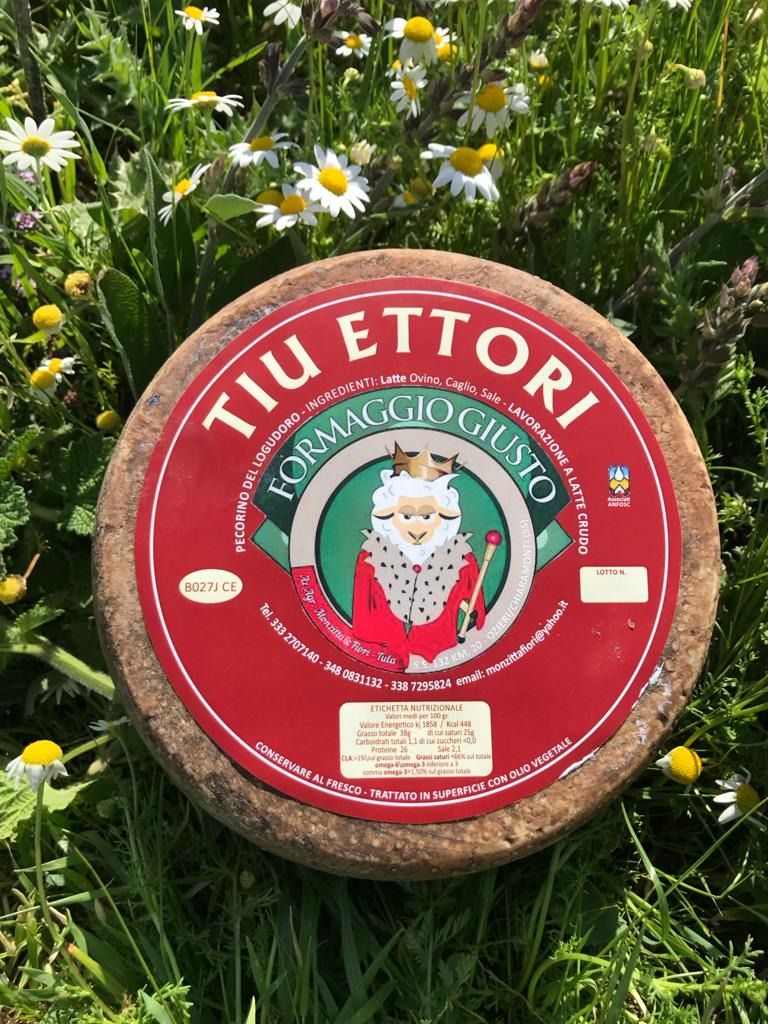 Pecorino Tiu Ettori