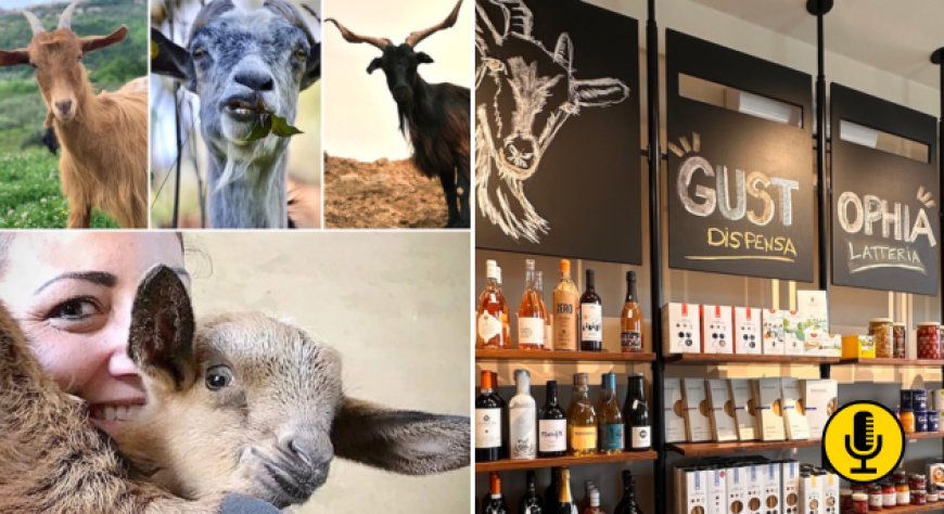 La rinascita della capra cilentana con Tenuta Principe Mazzacane