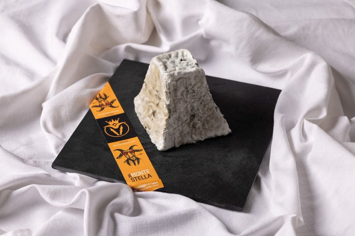 Gustophia Cheese Experience