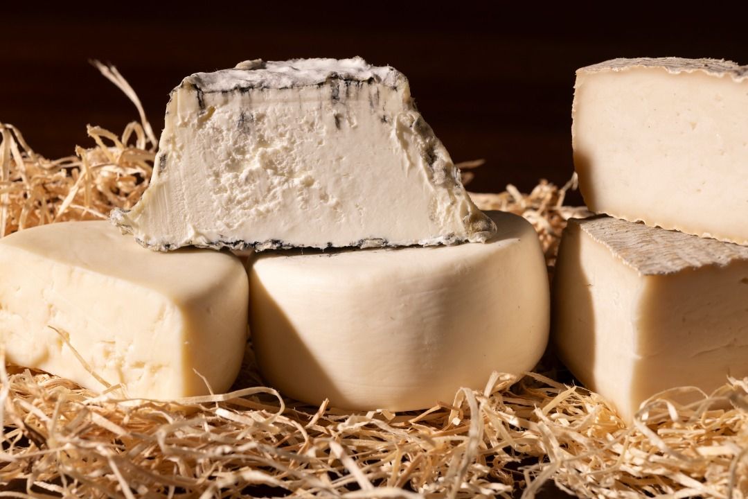 Gustophia Cheese Experience